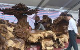Choáng ngợp ngắm bộ kỳ mộc 7 món 'tứ linh quần tụ', giá 3,5 tỷ đồng